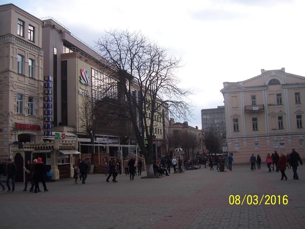 Apartment In Zentrum Skandi Vinița Exterior foto